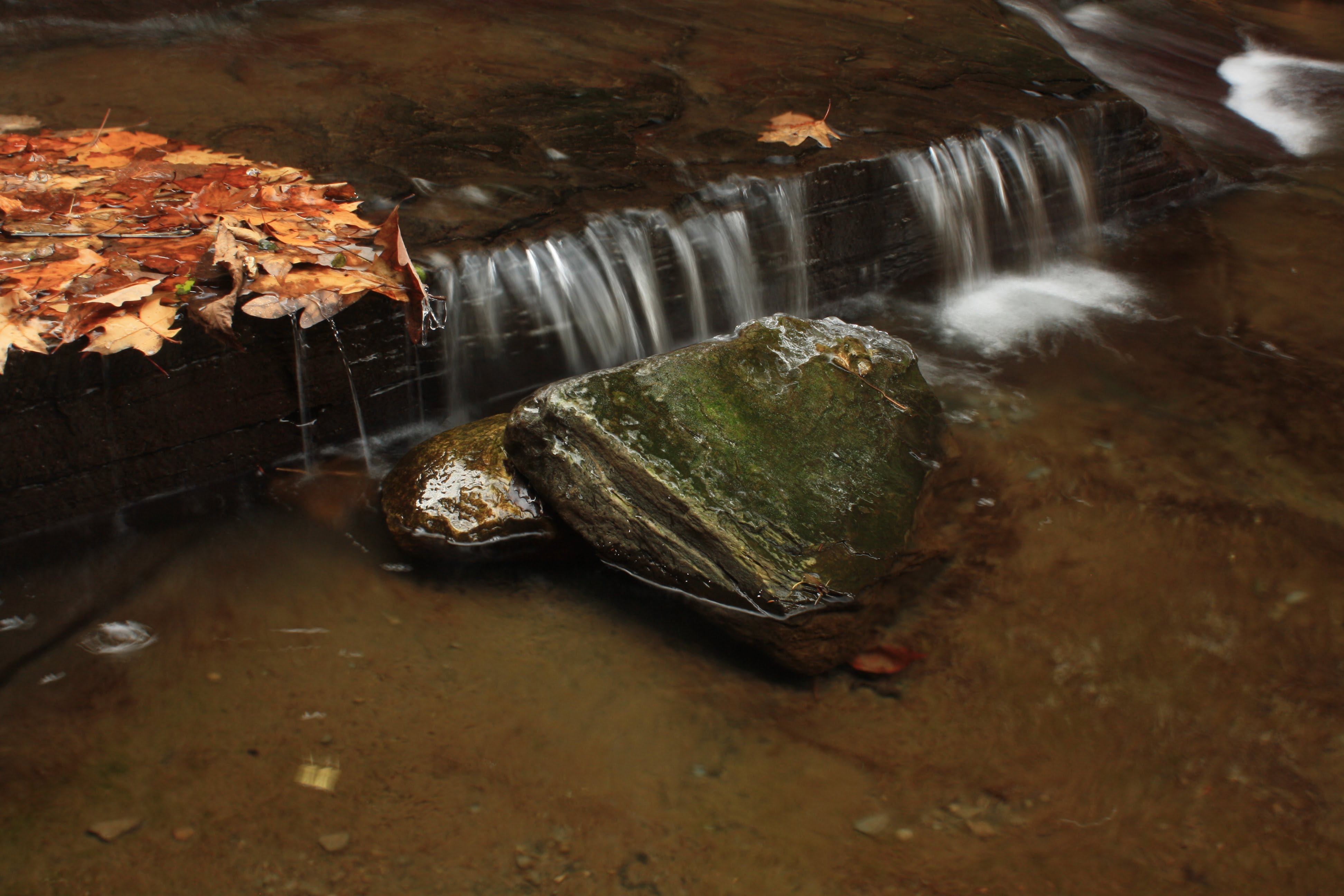 Picture of water flowing over a rock with autumn leaves